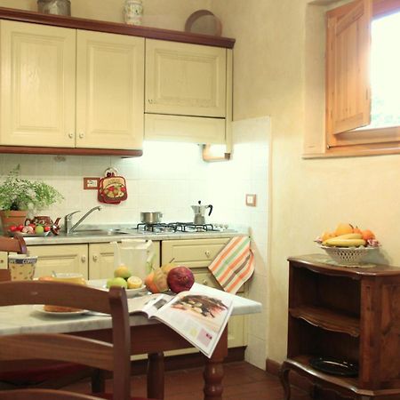 Studios Garden Terrace Oltrarno Florencja Zewnętrze zdjęcie