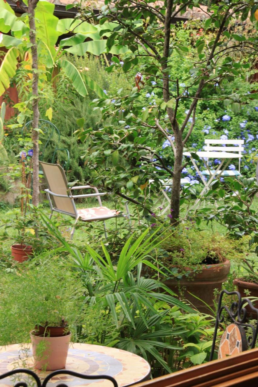 Studios Garden Terrace Oltrarno Florencja Zewnętrze zdjęcie