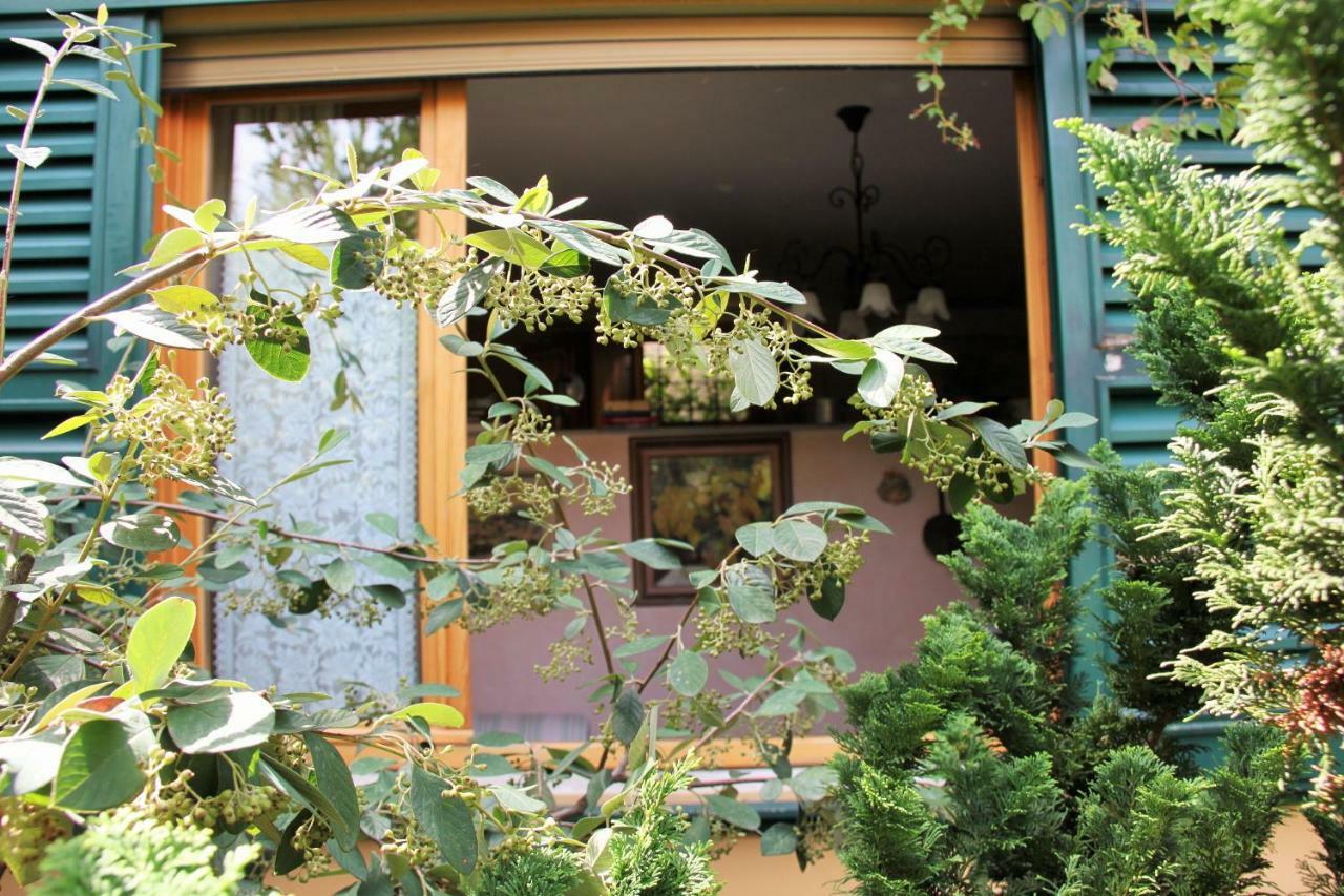 Studios Garden Terrace Oltrarno Florencja Zewnętrze zdjęcie