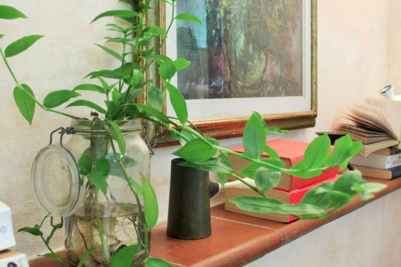 Studios Garden Terrace Oltrarno Florencja Zewnętrze zdjęcie